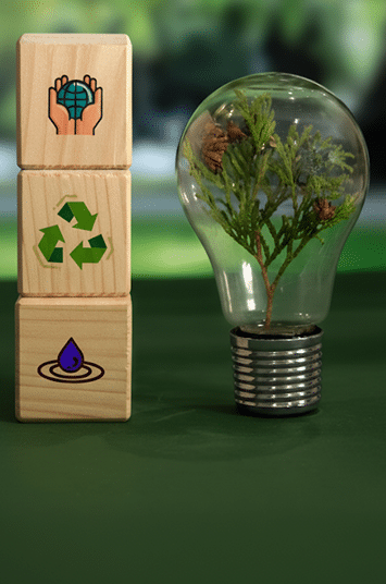 Responsible Consumption & Production