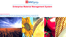 mmspan_img